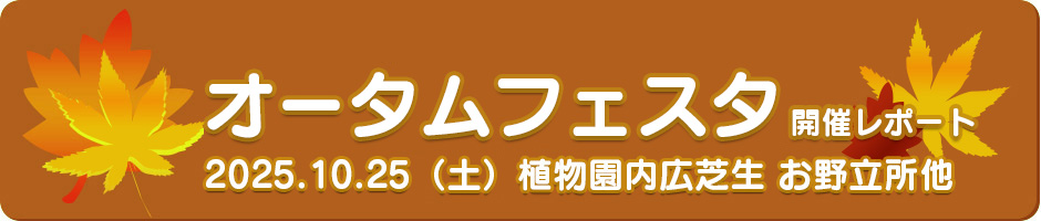 2025年森林公園オータムフェスタ開催レポート