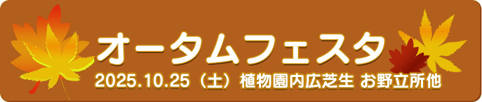 2025年森林公園オータムフェスタ