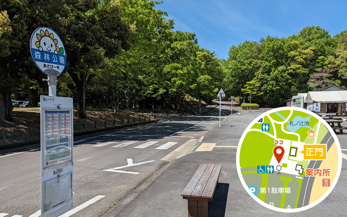 尾張旭市営バス「あさぴー号」東ルート「森林公園」バス停